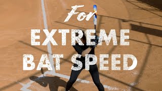 The 2023 Demarini Prism Fastpitch Bat Creates EXTREME Balance amp Speed [upl. by Ginder]