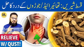 QusteShireen Ke FaydeIstemal  Costus Root Benefits  Dr Ibrahim [upl. by Seward]