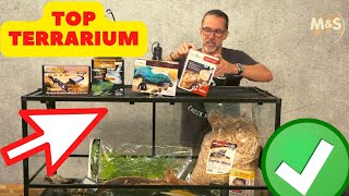 Bartagamen Basics  Dein Start ins Terrarien Leben [upl. by Ahset]