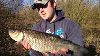 Ledgering For Chub On Norfolks River Wensum [upl. by Gally692]