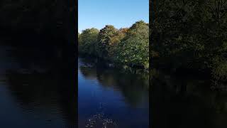 The River Wharfe at Ilkley from the New Bridge [upl. by Airotnes]