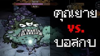 คุณยาย Wanda VS Toadstool Solo No Damage Dont Starve Together [upl. by Yraeht]