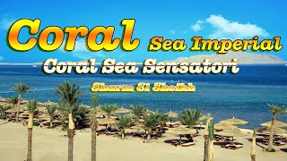 TUI BLUE Sensatori Coral Sea Imperial Sharm el Sheikh [upl. by Nevart]