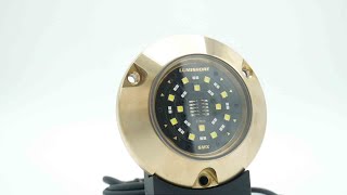 Underwater SMX54 Light by Lumishore [upl. by Benedix523]