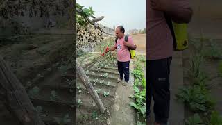 Sabjiyo Par Spray Ka Desi formula minivlogs dailyminivlogs villagelife palfamilyvlogs [upl. by Lou659]