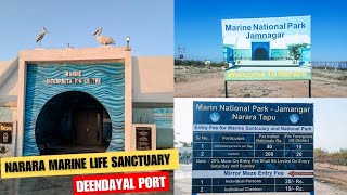 Narara tapu Jamnagar  🌊 Narara Marine National Park Jamnagar  Narara beach Timing  Deendayal Port [upl. by Cotterell]