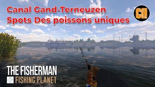 FISHING PLANET 32 Tuto canal gandterneuzen Spots des poissons uniques [upl. by Rambow]