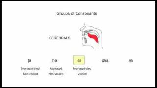 Sanskrit Consonants Pronunciation and Transliteration 001of002 [upl. by Leaw]