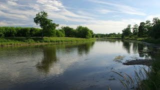 Grand River RIM Park Trail Summer Waterloo Canada [upl. by Rebmit]