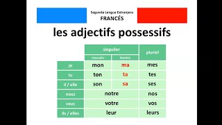 🇫🇷 Les adjectifs possessifs  🇪🇸 Los adjetivos posesivos [upl. by Sybille]