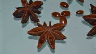 Star anise poisoning side effects [upl. by Ttemme]