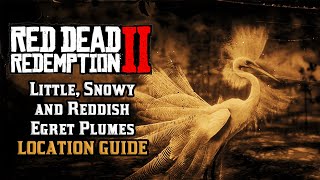 Little Snowy and Reddish Egret Plumes  Location Guide  Red Dead Redemption 2 [upl. by Mechling]