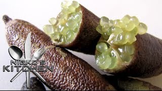 What are Finger Limes [upl. by Burrow]