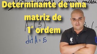 Determinante de uma matriz de 1° ordem  Determinante matriz 1x1 [upl. by Aubrey]