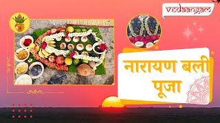 Narayan Bali Puja at Pishach Mochan Varanasi  Rituals and Spiritual Insights  Vedaangam [upl. by Caines]