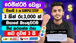 online job sinhala  online job at home sinhala  E money sinhala  online salli hoyana karama [upl. by Arutek]