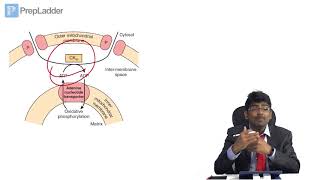 Biological Oxidation and Electron Transport Chain  MCQ discussion [upl. by Enialedam]