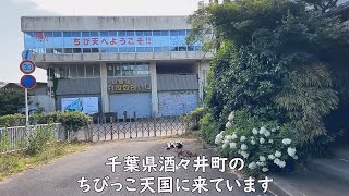 【廃墟探索】千葉県の廃墟等を巡ってきました [upl. by Quintilla]