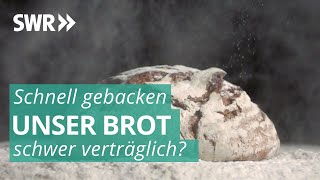 Das Geschäft mit Brot  Marktcheck SWR [upl. by Simonne971]