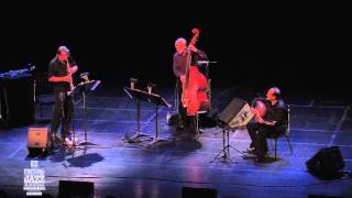 Anouar Brahem avec D Holland et J Surman  Concert 2011 [upl. by Huston]