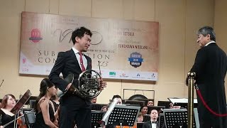 Richard Strauss Horn Concerto No1 op11 [upl. by Ayekel715]