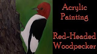 Painting a Red Headed Woodpecker in Acrylics [upl. by Pier701]