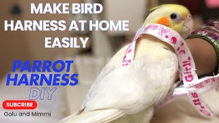 How To Make Harness for Parrot at Home  Parrot Harness DIY howto parrot harness petbird [upl. by Eula]