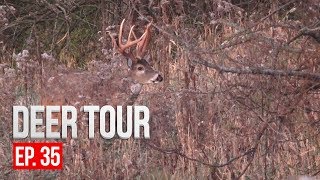 CRAZY RUTTING FOOTAGE Intense Deer Vocalizations  DEER TOUR E35 [upl. by Akeihsal532]