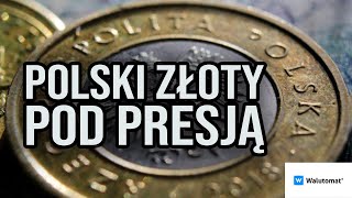 Ogromne wahania kursu złotego Kiedy pierwsze OBNIŻKI stóp procentowych [upl. by Noeruat948]