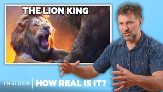 Lion Expert Rates 9 BigCat Attacks In Movies  How Real Is It  Insider [upl. by Neehcas]