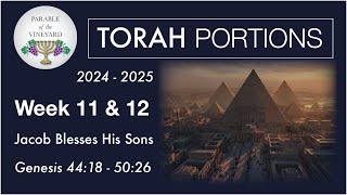 Torah Portion Week 11 amp 12  Genesis 411  5026 Heading to Egypt 2024  2025 [upl. by Nowyt]