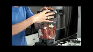 Vitamix Professional Series 750 What You Can Make [upl. by Bucella]