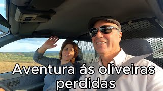 AVENTURA ÁS OLIVEIRAS PERDIDAS [upl. by Noiek]