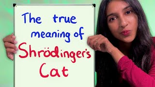 Most people dont get Schrodingers Cat including you [upl. by Dynah]