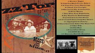 ZZ Top One Foot In The Blues  Full Album  1994 [upl. by Bayard825]