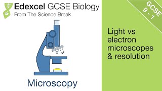 Edexcel GCSE Science and Biology  Introduction to Microscopes [upl. by Lilly]