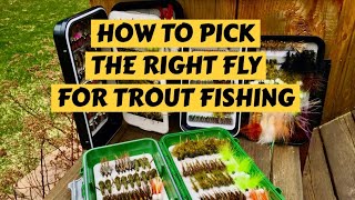 How to Pick the Right Fly for Trout [upl. by Arahs]