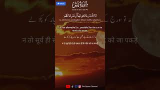 surah yaseen by mishary rashid alafasy  sourate yassine  yasin sharif explore qurantilawat [upl. by Ahsiki]