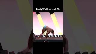 Roelly Winklaar back flip roellywinklaar backflip [upl. by Litch]