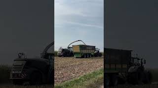 Fendt 942 mit Krone Häckselwagen landwirtschaft farming agriculturefarming agriculture fendt [upl. by Adil723]