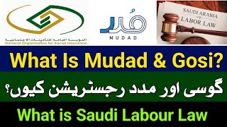 2 Important Website Registration In Saudi Arabia  What is Mudad And Gosi  Saudi Labour Law Info [upl. by Aplihs]