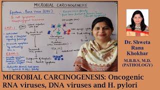 MICROBIAL CARCINOGENESIS Oncogenic RNA viruses DNA viruses and H pylori [upl. by Allit]