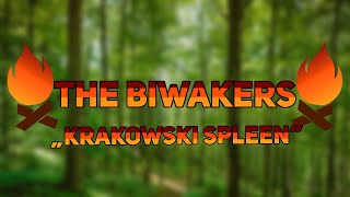 The Biwakers  quotKrakowski spleenquot Maanam Cover [upl. by Alviani]