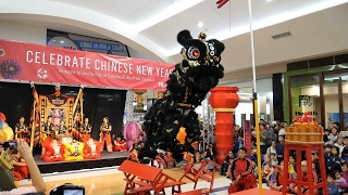 2017 CNY Stunning Lion Dance on Benches at Westfield Carousel Main Show  Yaolin Kung Fu Association [upl. by Anelrahs]