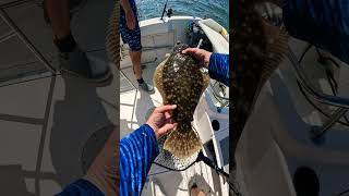 Barnegat Bay Flounder Fishing [upl. by Herminia]