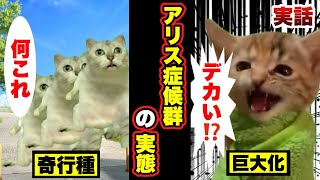 【実話】私が体験したアリス症候群の初期サイン アリス症候群 健康管理 cat 猫ミーム 猫マニ 末路 [upl. by Rammus]