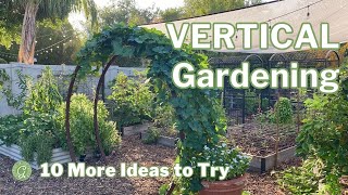 10 More Vertical Gardening Ideas Growing in the Garden [upl. by Zehe112]