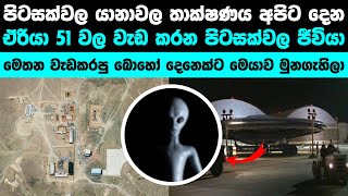 Area 51 හි වැඩ කරන පිටසක්වල ජීවියා  Alien that works in Area 51 [upl. by Laehctim]