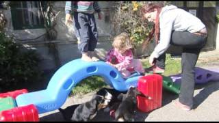 Welpenspiel und Kinderschuh  Sennenhund Welpen [upl. by Nalrah708]