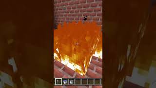 Burning A Endermite In Minecraft 17 [upl. by Svetlana]